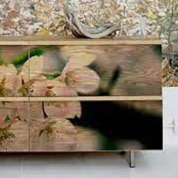 Muebles de madera revestida